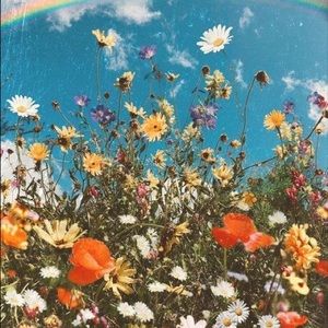 Meet your Posher, Isabelle